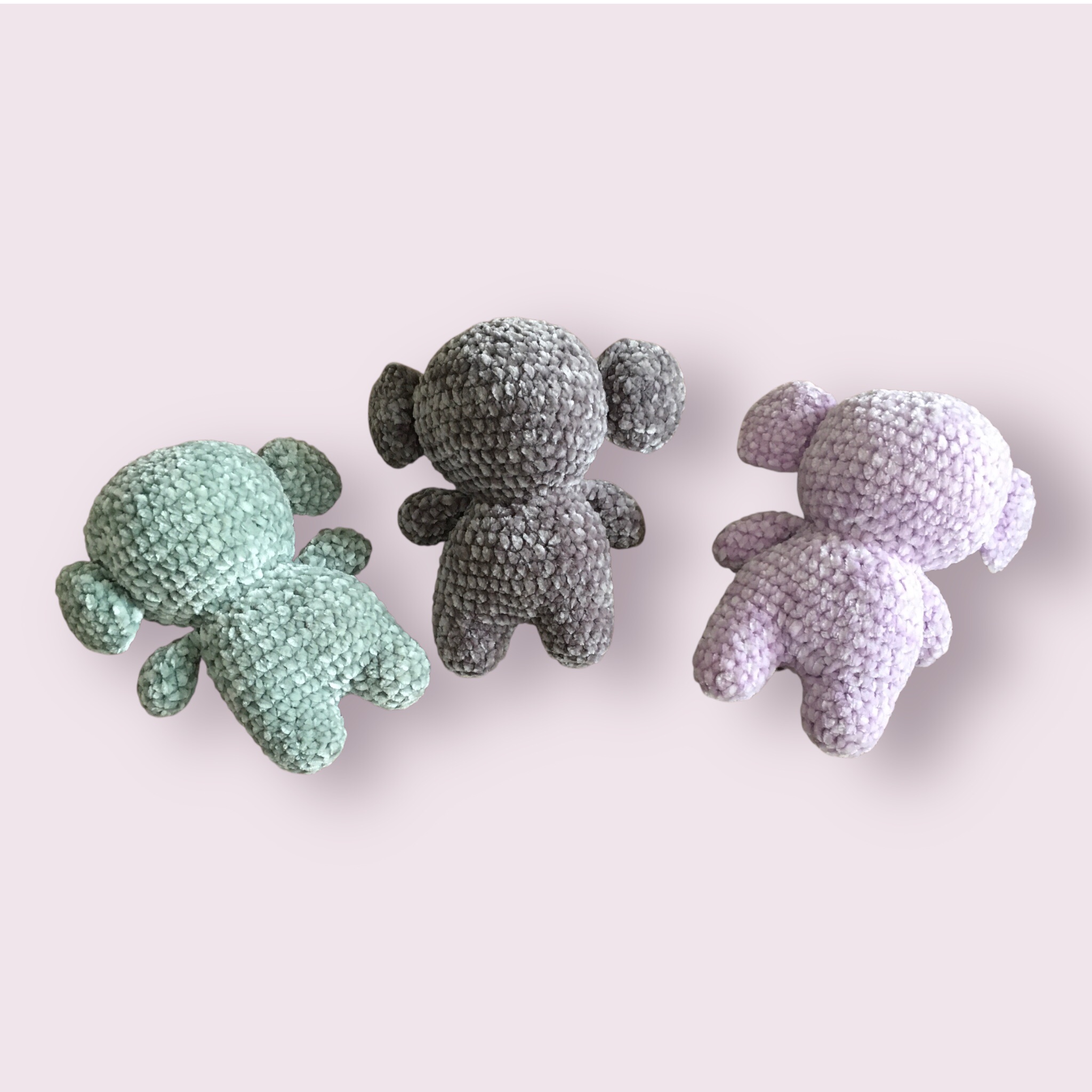 Koala – Image 2